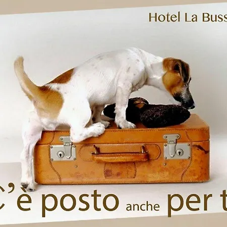 La Bussola Hotel 4*